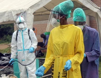 Miniatura: Nie ma szczepienia, nie ma pracy i pensji....