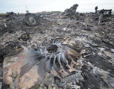 Miniatura: Kolejne samoloty z ciałami ofiar...