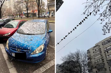 Kiedy zaparkujesz samochód w nieodpowiednim miejscu 