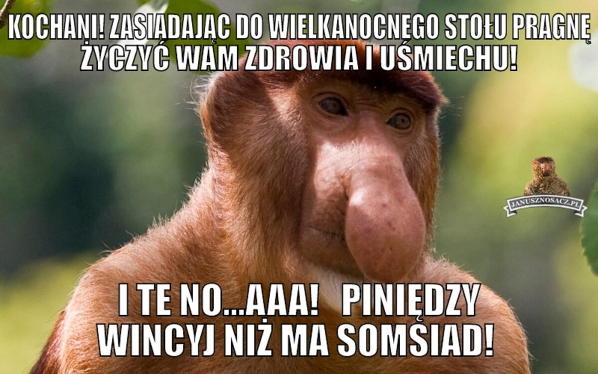 Świąteczne memy 