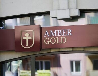 Miniatura: Za Amber Gold stała mafia?