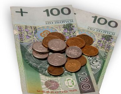 Miniatura: Ekspert: urzędy to pracodawcy marzeń