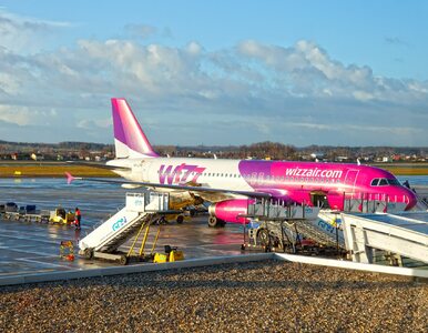 Miniatura: Wizz Air hurtowo odrzucał reklamacje...