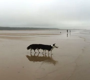 Zdjęcia panoramiczne. Coś poszło nie tak 