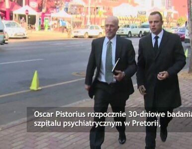 Miniatura: Oscar Pistorius trafi na 30 dni do...