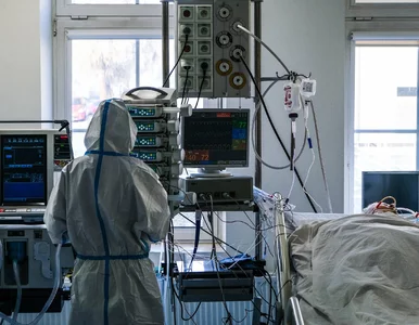 Miniatura: NA ŻYWO: Koronawirus w Polsce i na...