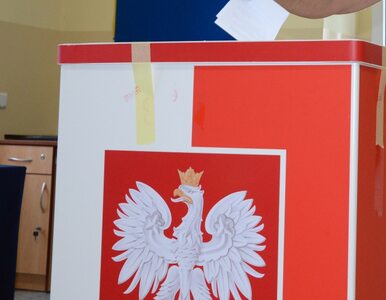 Miniatura: Kluby "Gazety Polskiej" chcą pilnować wyborów