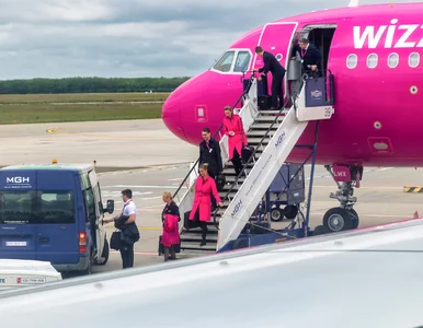 Miniatura: Błąd w systemie Wizz Air. Loty za 35 zł...