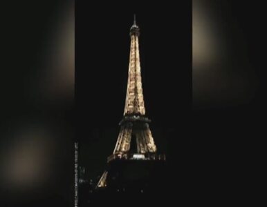 Miniatura: Iluminacja oświetlająca Wieżę Eiffla...