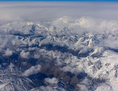 Miniatura: Niezwykłe odkrycie naukowców. Te...