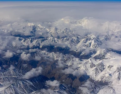 Miniatura: Niezwykłe odkrycie naukowców. Te...