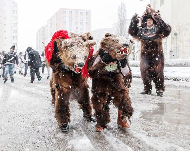 Miniatura: Tańczące niedźwiedzie odczarują nowy rok?...