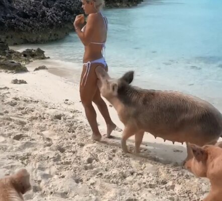 Miniatura: Gwiazda fitness Michelle Lewin