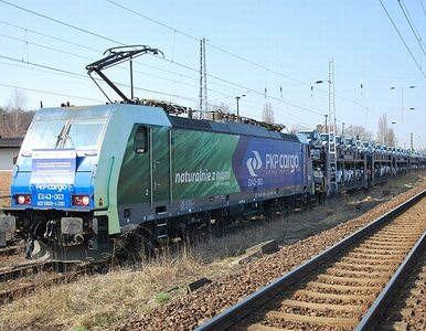Miniatura: PKP Cargo chce przejąć czeskiego przewoźnika