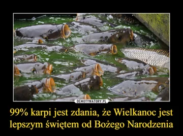 Mem na Wigilię 