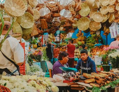 Miniatura: Quiz geograficzny dla bystrzaków....