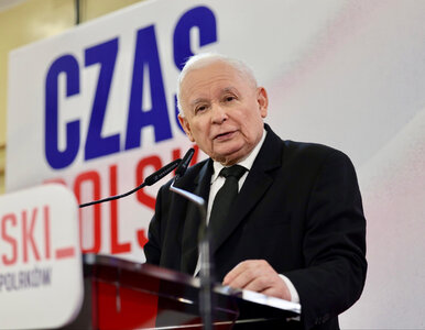 Miniatura: Jarosław Kaczyński stracił kontrolę nad...
