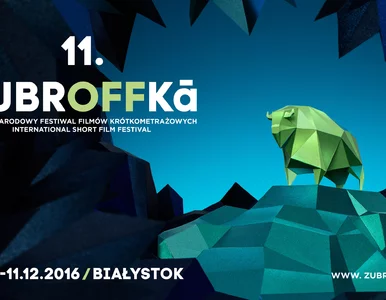 Miniatura: Sho(r)ty ŻubrOFFki po raz drugi!