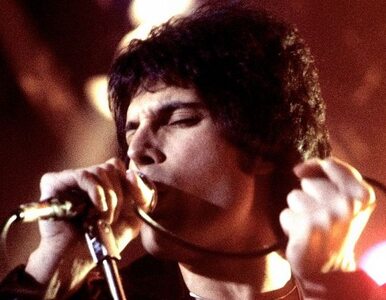 Miniatura: Będzie nowy album Queen z Freddiem Mercurym