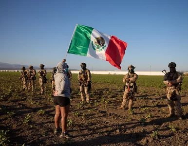 Miniatura: Chaos na farmach w Kalifornii. Zginęła...