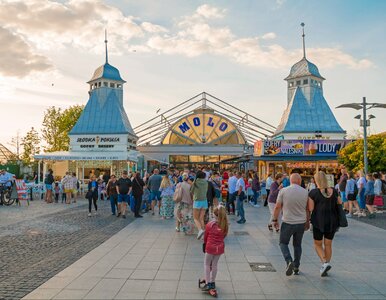 Miniatura: Obłożenie blisko 100 proc. Norwedzy i...