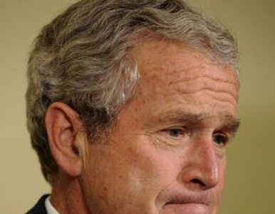 Miniatura: Bush: rozwiążemy ten kryzys