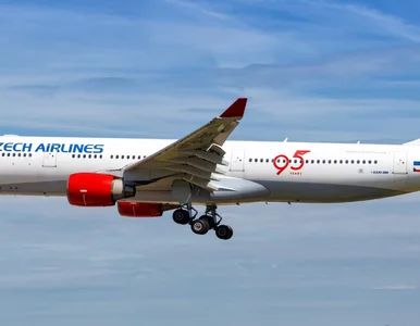 Miniatura: Europejskie samoloty zagrożone w...