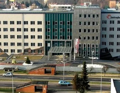 Miniatura: 50 firm, które rosną mimo wojny w...