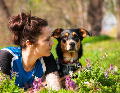 Miniatura: Czy psy dzielą ludzi na dobrych i złych?...