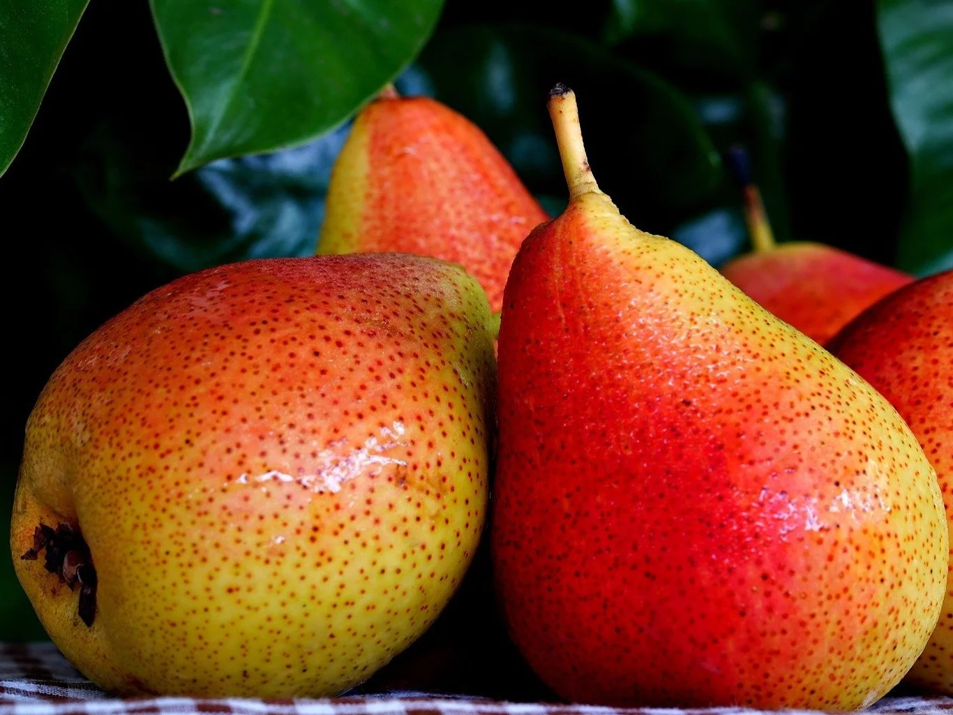 QUIZ na jesienny wieczór. Zdobędziesz 10/10?