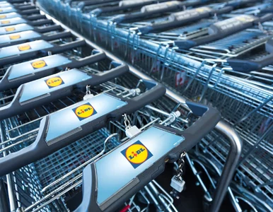 Miniatura: Przejrzyj aktualny katalog Lidla!...