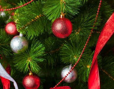 Miniatura: QUIZ. Jak dobrze znasz kolędy? Mniej niż...