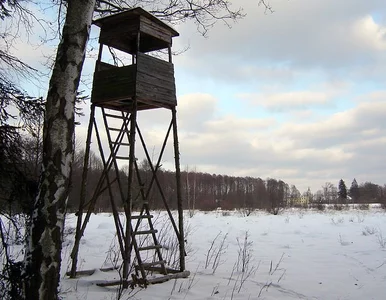 Miniatura: Tragiczny wypadek na polowaniu w Wołowcu....