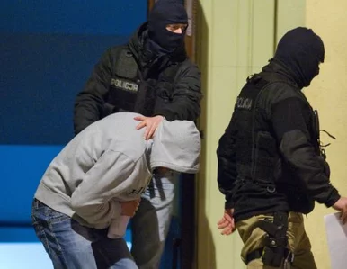 Miniatura: Śledztwo „Patykiem” pisane -...