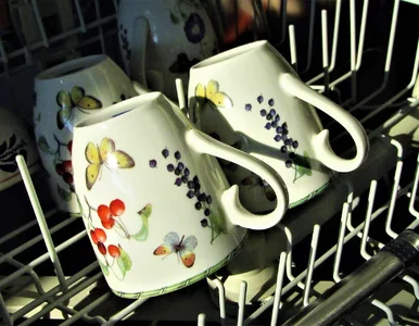 Miniatura: Wkładasz to do zmywarki? Właśnie tracisz...