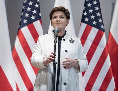 Miniatura: Premier Szydło spotkała się z Polakami...