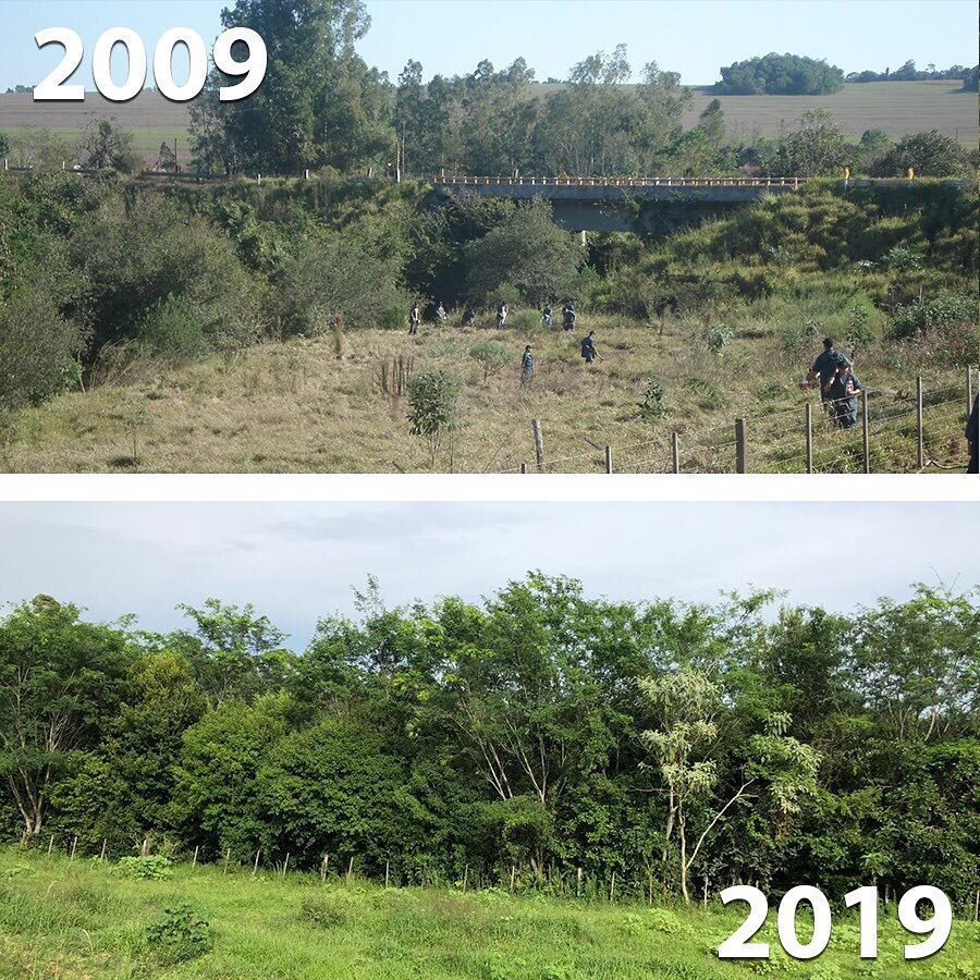 Odpowiedź ekologów na „10 year challenge" 