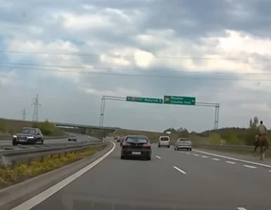 Miniatura: „Ułan na S8” zadziwił kierowców. Do sieci...