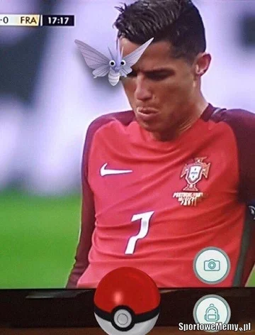 Memy po finale Euro 2016 (sportowememy.pl) 