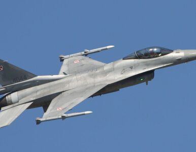 Miniatura: DORSZ potwierdza, że to polskie F-16...