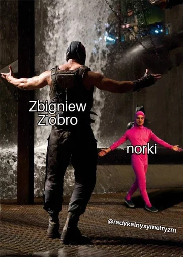 Mem komentujące polityczną walkę o ustawę futerkową 