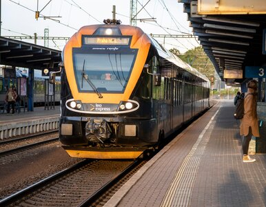 Miniatura: Drugi bilet na pociąg za darmo. Tańsze...