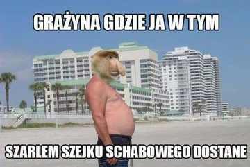 Mem z nosaczem sundajskim 