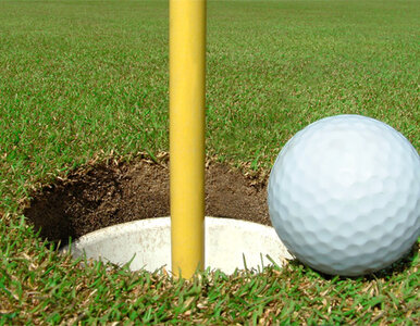 Miniatura: Słynny gofista porwany i pobity. Pomogła...