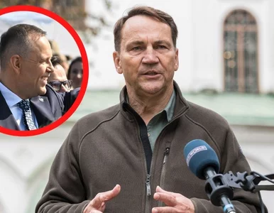 Miniatura: Sikorski zyskał sojusznika ws. apelu do...