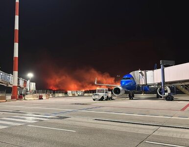 Miniatura: Pożar zbliżył się do lotniska w Palermo....