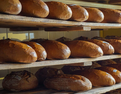 Miniatura: Mąka coraz tańsza, cena chleba ani drgnie