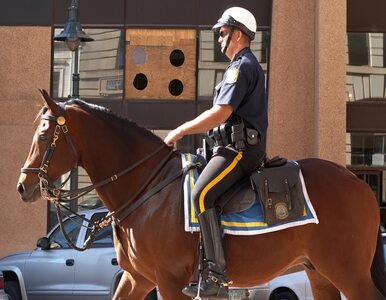 Miniatura: Szarża szwedzkiej policji konnej...