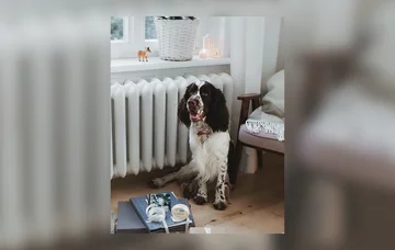 Uroczy pupil Kasi Tusk 