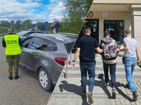 Miniatura: Nowy szlak migracyjny przez Polskę....